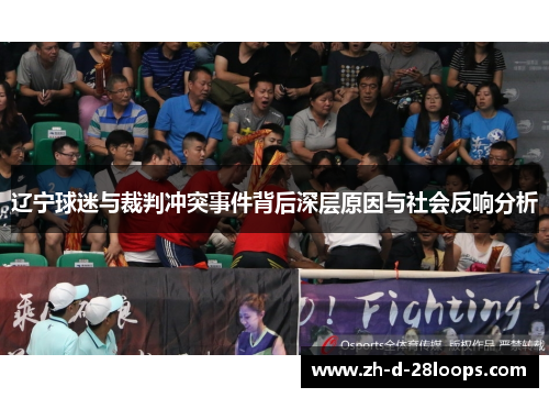 辽宁球迷与裁判冲突事件背后深层原因与社会反响分析