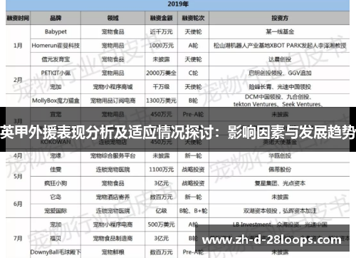 英甲外援表现分析及适应情况探讨：影响因素与发展趋势