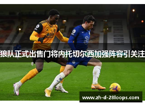 狼队正式出售门将内托切尔西加强阵容引关注